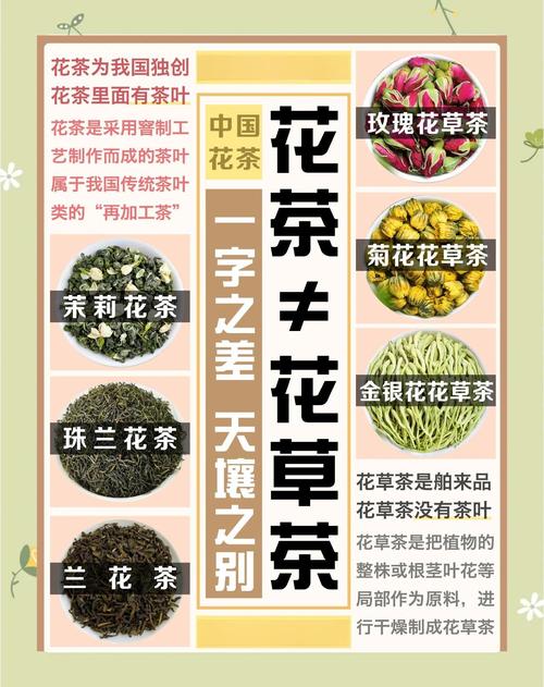 山茶花与茶叶是亲戚吗?一文读懂两者的关系与山茶花养护指南 盆栽/地栽选择决策