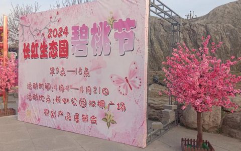 碧桃树多少钱一棵？2026年最新价格参考与选购指南