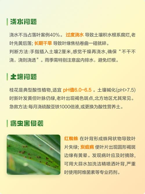 桂花树叶子干枯怎么办?常见原因及解决方法 五、病虫害侵袭
