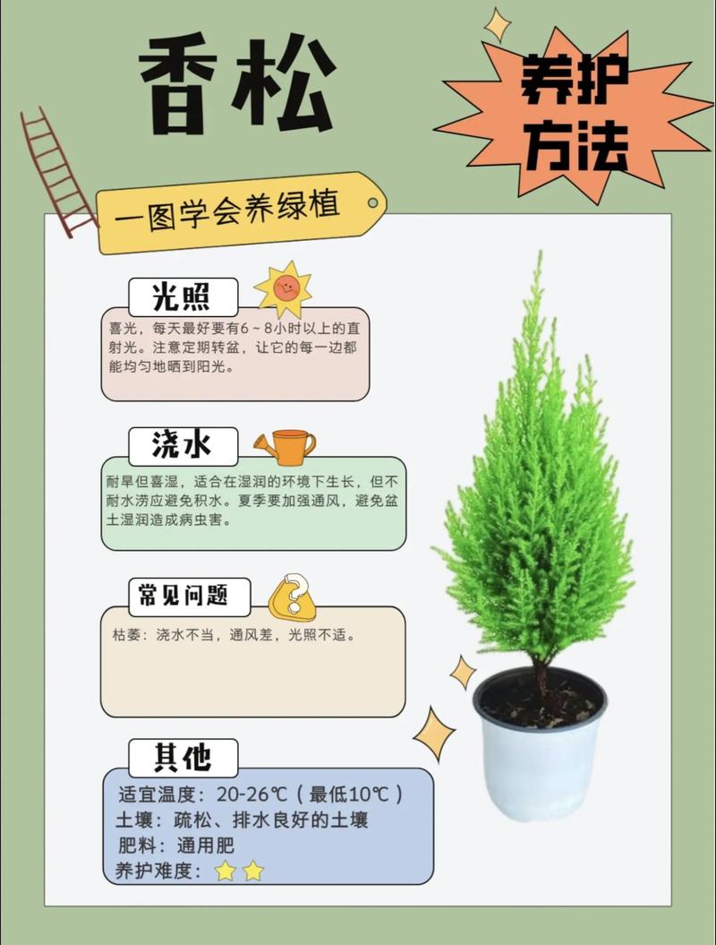 松树施肥全攻略:家庭盆栽与庭院大树的营养管理方案 浇水:松树耐旱怕涝,保持盆土微干是安全原则