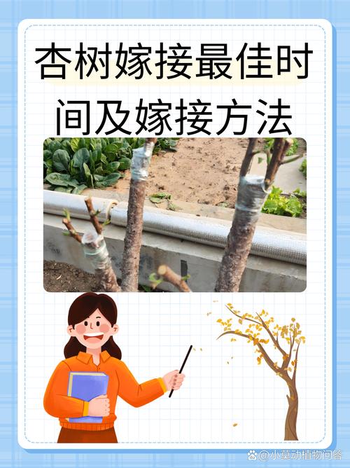 总结验证