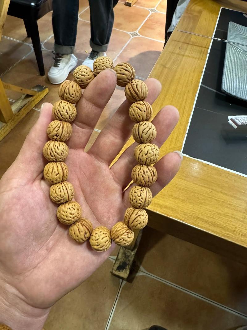 桃核种出来的桃树能长桃吗?能长,但品质差、等待久,不建议新手尝试 采购优质桃苗的“三重检验”标准