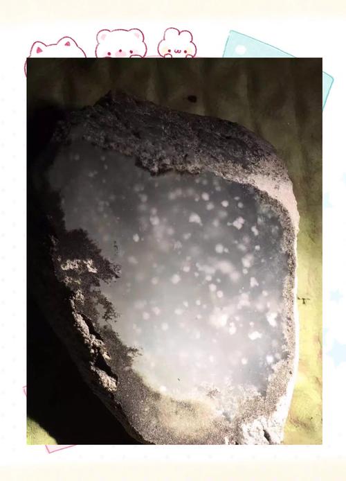 探索“木那雪花棉”——一种独特的多肉植物园艺新宠 结语