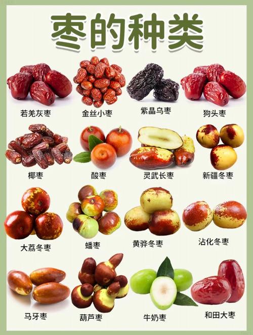 红枣和青枣不是一个品种!6大维度对比帮你分清 总结