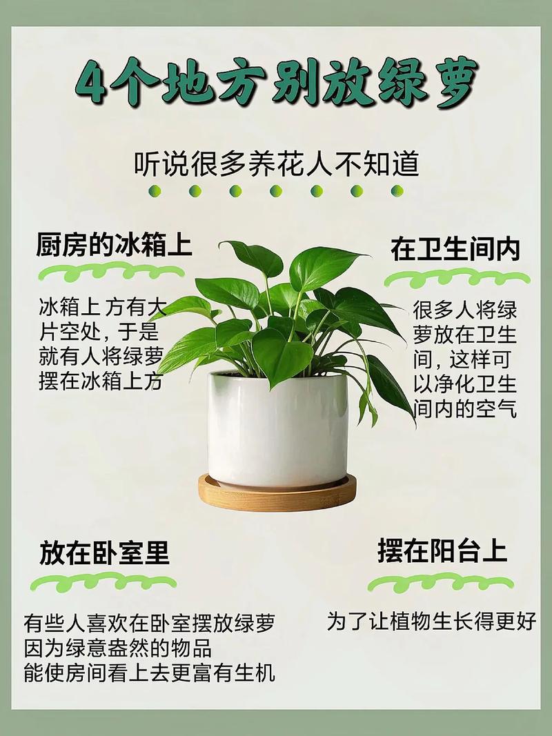园艺中的讲究与忌讳:这些细节你注意了吗? 二、浇水施肥的忌讳:别让“好心”变“伤害”