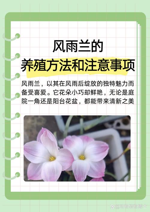 园艺中的讲究与忌讳:这些细节你注意了吗? 三、修剪与换盆的讲究:时机同样重要