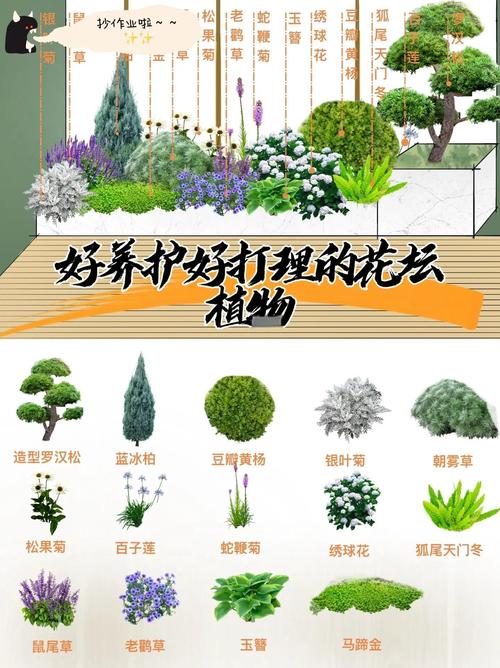 园艺中的讲究与忌讳:这些细节你注意了吗? 四、那些“老讲究”背后的科学道理