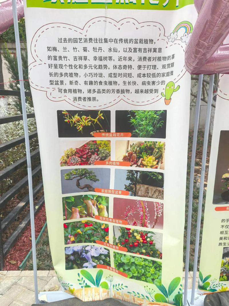 园艺中的讲究与忌讳:这些细节你注意了吗? 结语