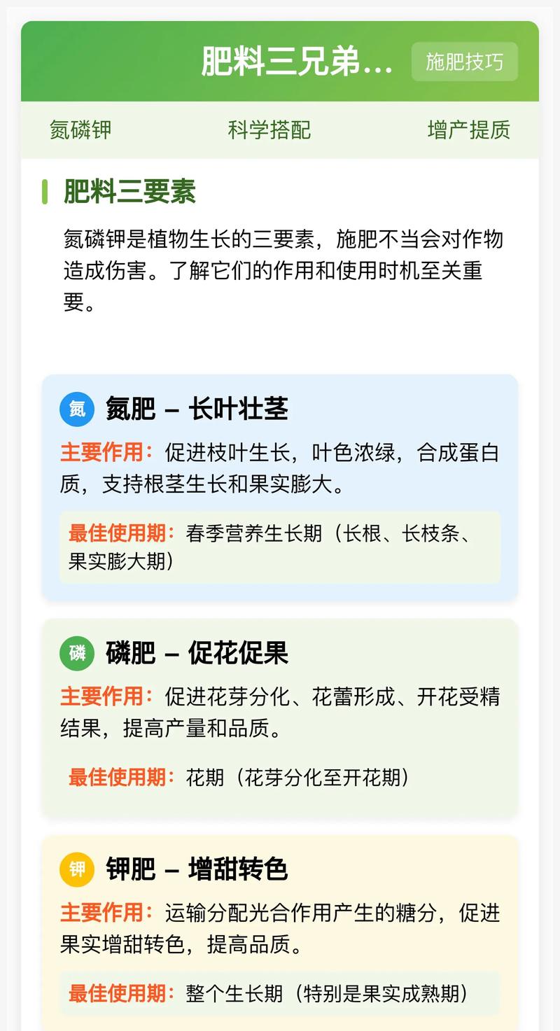 苹果树六月份施什么肥好?掌握氮磷钾配比与时机,膨果壮树两不误 采购果苗时判断根系与苗龄的黄金标准