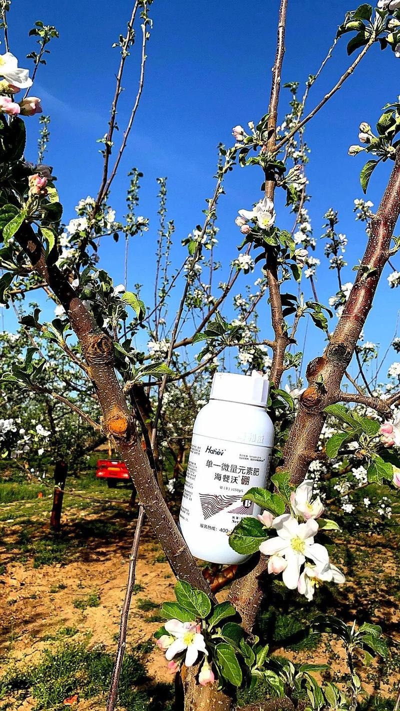 苹果树六月份施什么肥好?掌握氮磷钾配比与时机,膨果壮树两不误 常见问题:六月份能否单独施用尿素?
