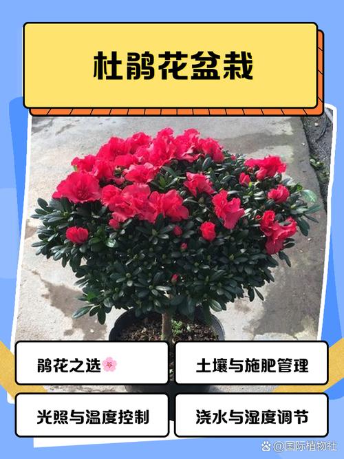 常见误区与纠正