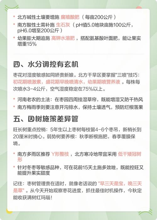 枣树开花不坐果怎么办?5步促花保果全攻略 夏季修剪通过摘心拉枝促进花芽分化