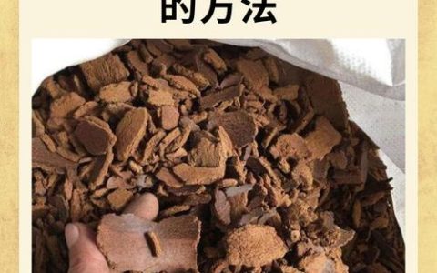 菜籽饼属什么肥？详解菜籽饼作为有机肥的特点与使用技巧