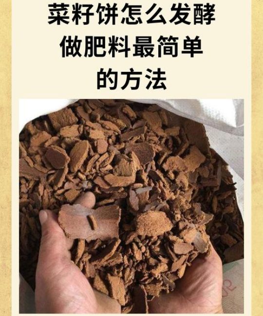 菜籽饼属什么肥？详解菜籽饼作为有机肥的特点与使用技巧