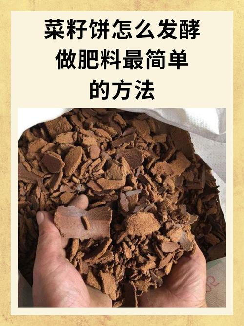 菜籽饼属什么肥？详解菜籽饼作为有机肥的特点与使用技巧