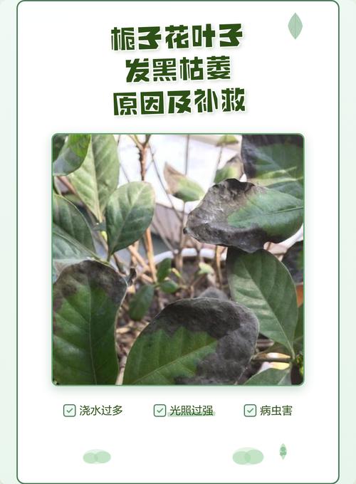 3. 土壤障碍