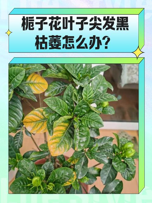 第3步：检查摆放位置