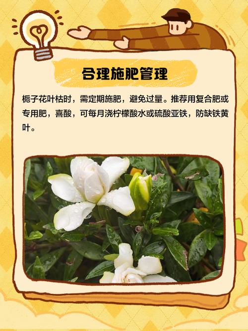 1. 水肥失调怎么处理