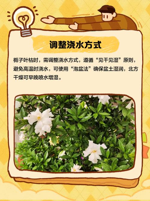 第5步：检查施肥记录