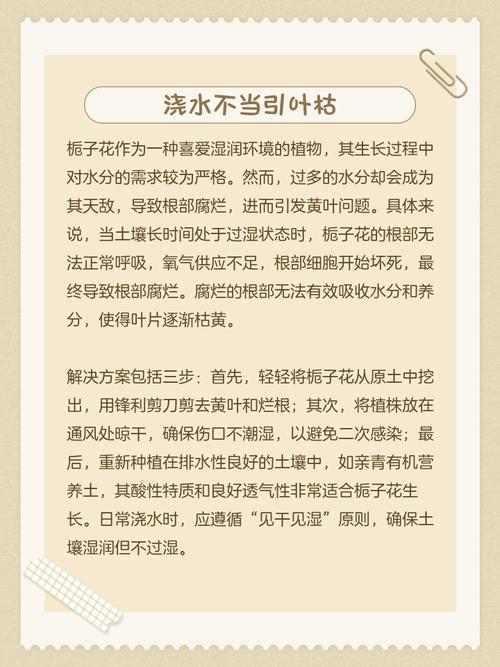 4. 病虫害怎么处理