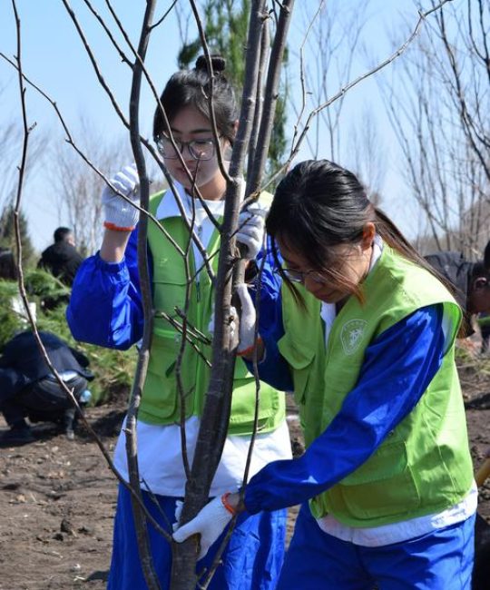 同学们在哪里植树？——校园植树与园艺实践完全指南