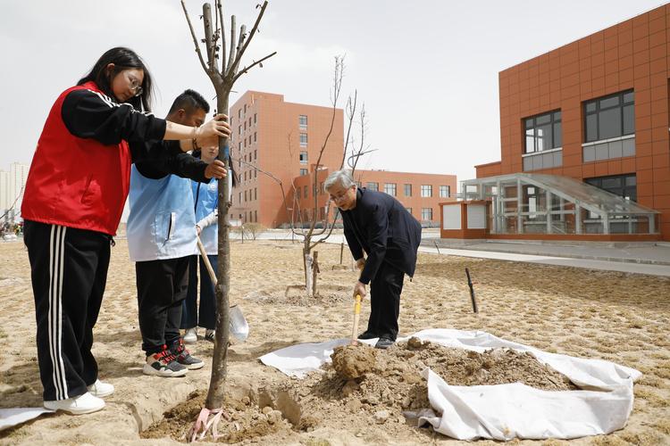 选址：为什么比“在哪里植树”更重要