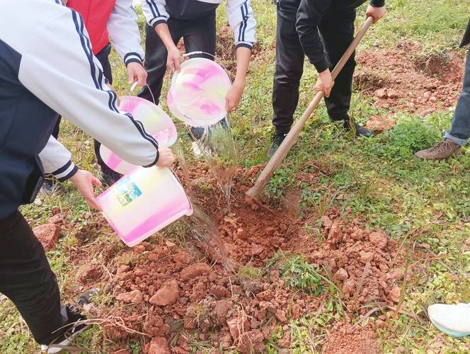 管理：植树之后的长效园艺课
