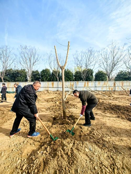 动手：标准植树五步法（附园艺注意事项）