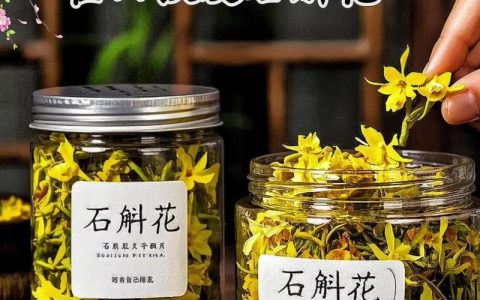铁皮石斛花的功能是什么？药用价值、食用方法与选购指南