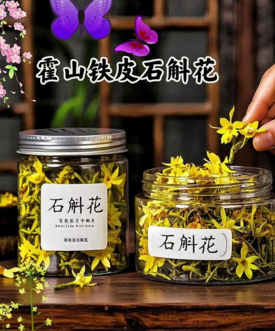 铁皮石斛花的功能是什么？药用价值、食用方法与选购指南