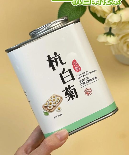 杭白菊：泡茶赏花两相宜的盆栽菊花养护全攻略
