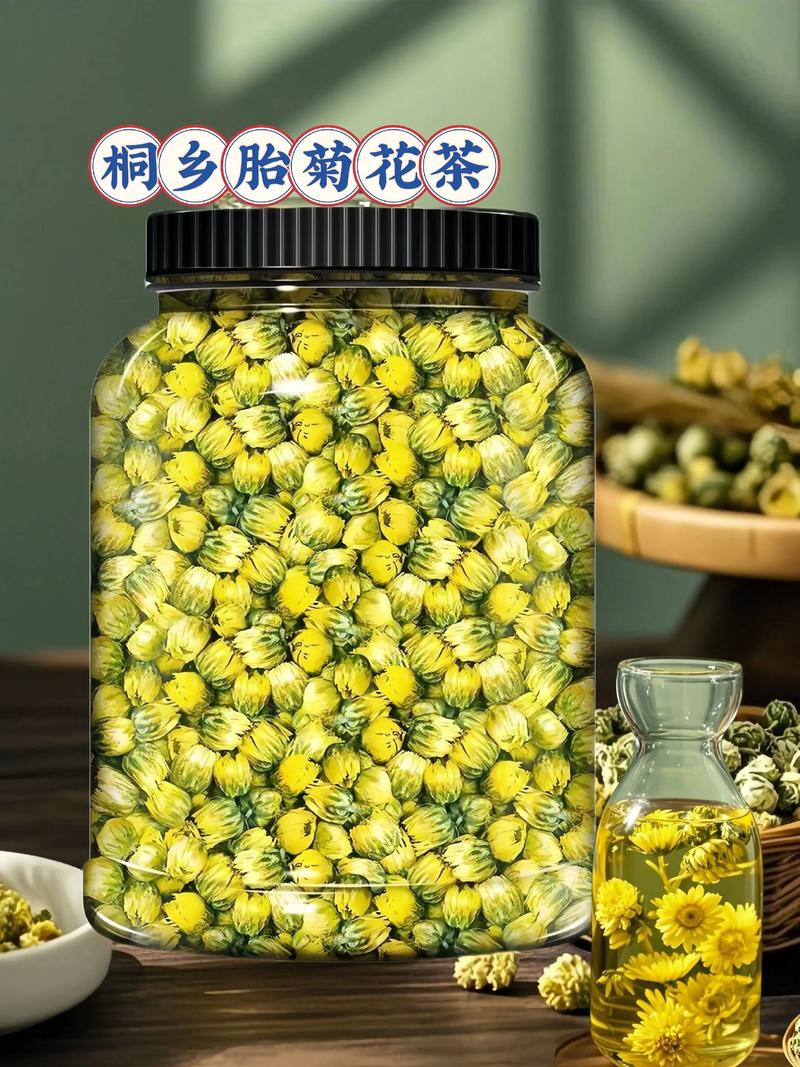 杭白菊:泡茶赏花两相宜的盆栽菊花养护全攻略 修剪促花系统指导
