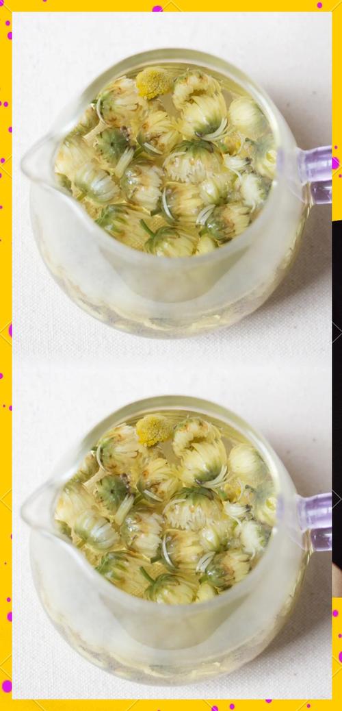 杭白菊:泡茶赏花两相宜的盆栽菊花养护全攻略 盆栽/地栽选择决策