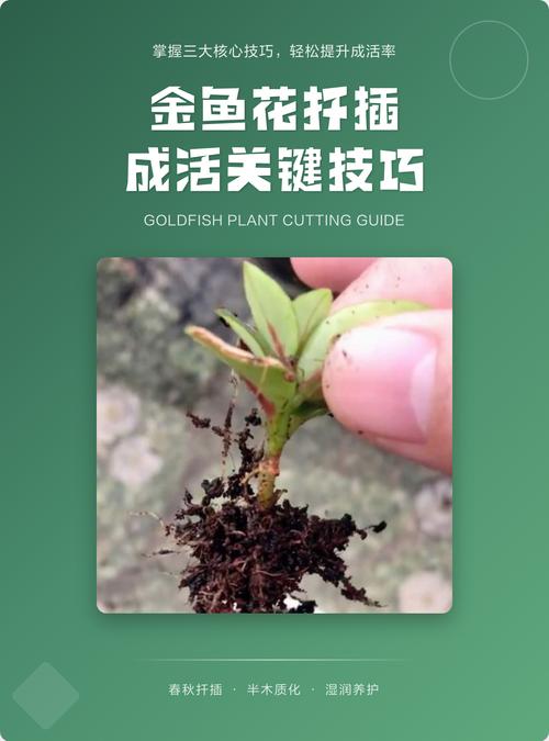 第三步：操作流程与关键节点控制