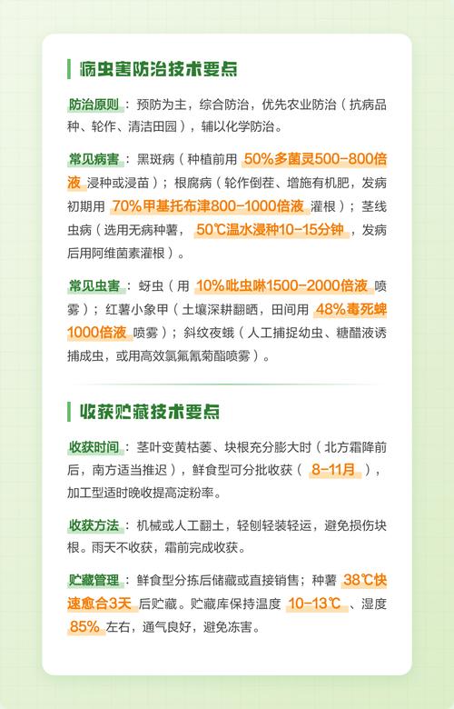 种植红薯亩产量多少斤?高产种植技术全流程指南 六、缓苗管理