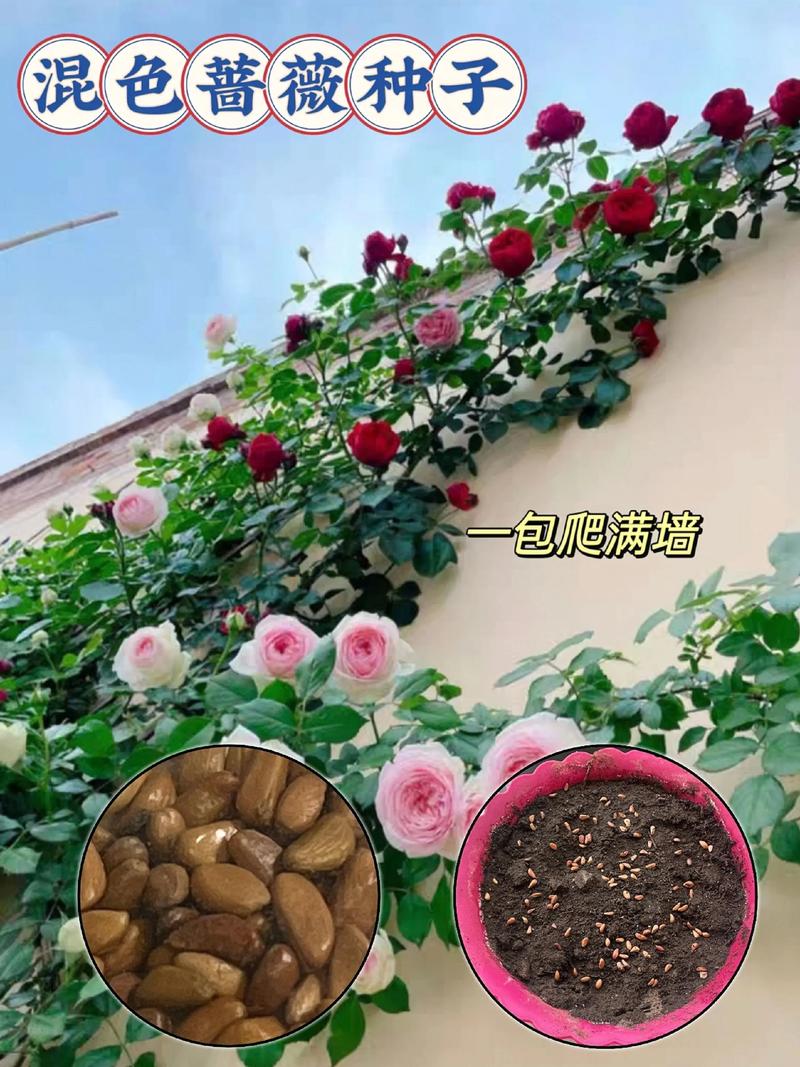 土壤环境