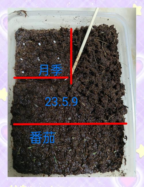 栽前处理（种子处理）