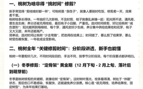 桃树什么时候修剪最好？掌握冬剪与夏剪的关键时间点