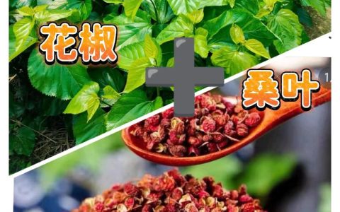 花椒种植与加工：一斤花椒粒能出多少花椒粉？详解花椒从庭院到餐桌的旅程