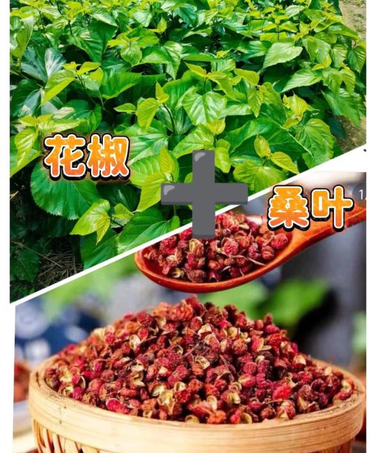 花椒种植与加工：一斤花椒粒能出多少花椒粉？详解花椒从庭院到餐桌的旅程
