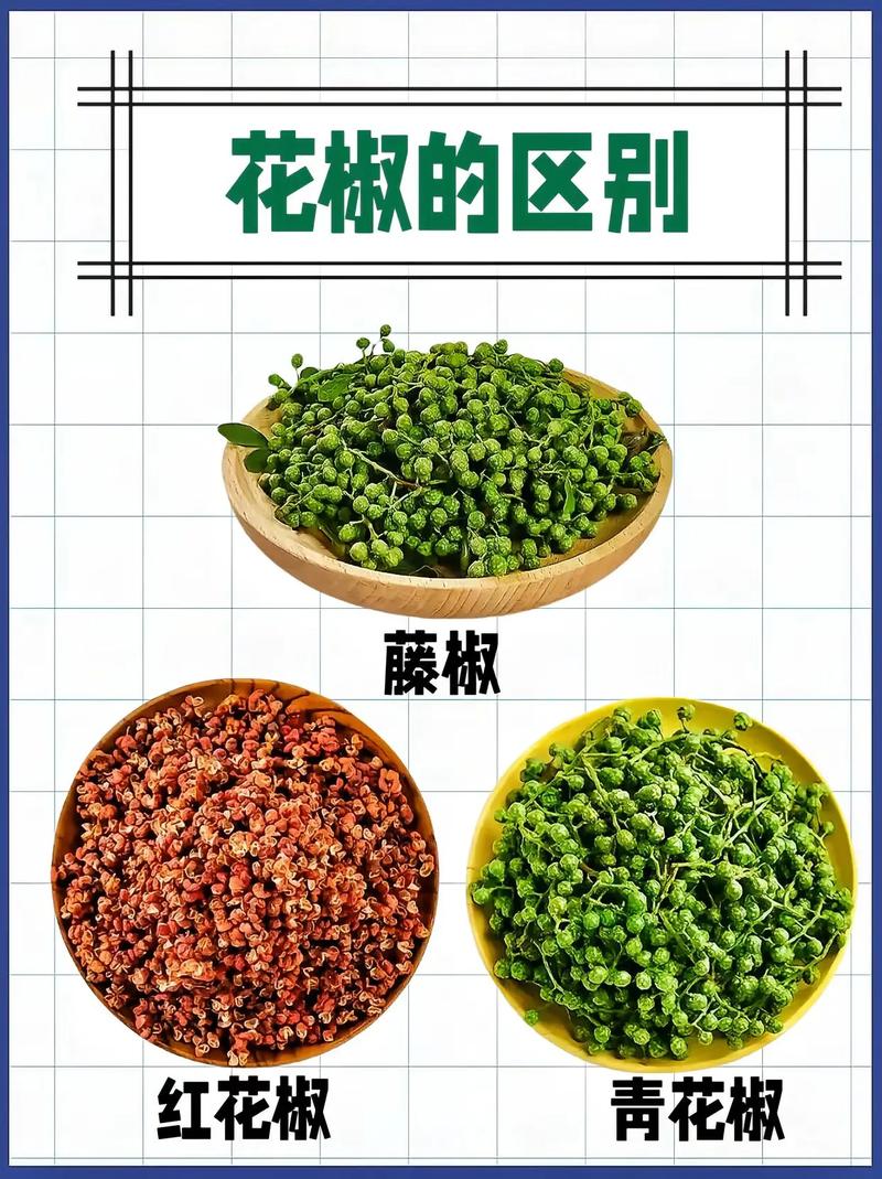 花椒种植与加工:一斤花椒粒能出多少花椒粉?详解花椒从庭院到餐桌的旅程 四、加工技巧与保存建议