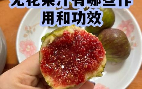 无花果果汁饮料多少钱一瓶？2026年价格区间与影响因素分析