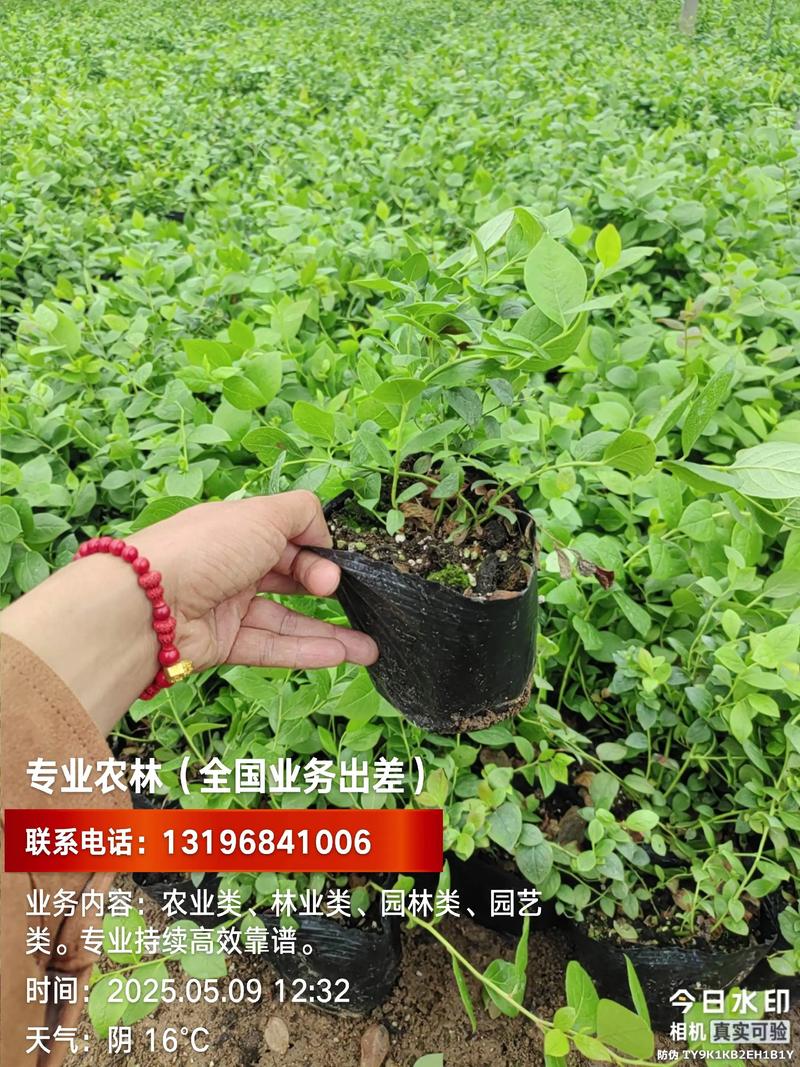 综合评估结论