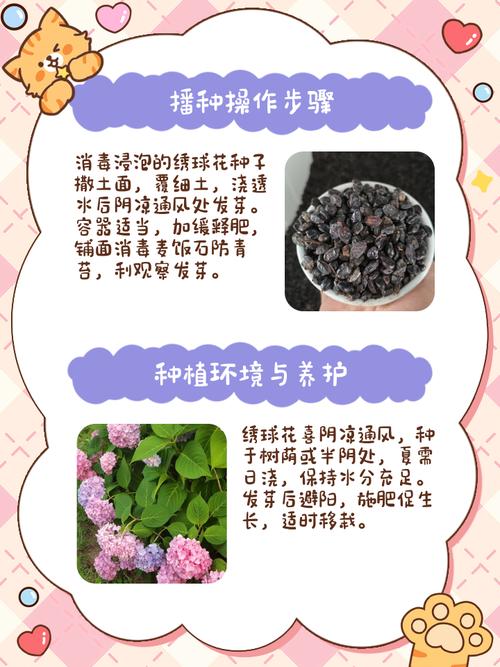 播种操作步骤：从种子到幼苗