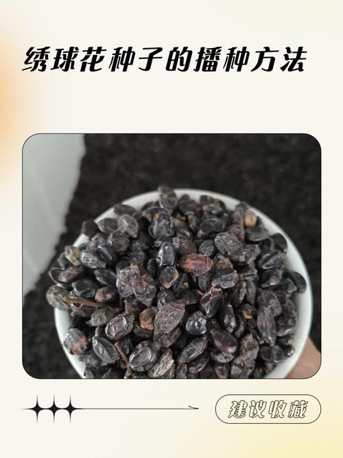 越冬与越夏管理：种子繁殖苗的特殊养护