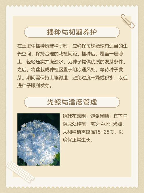 常见误区与纠正