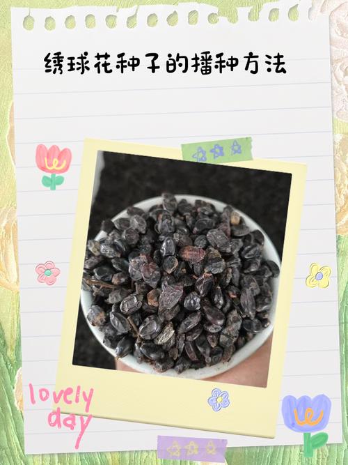 总结：3个核心可执行动作