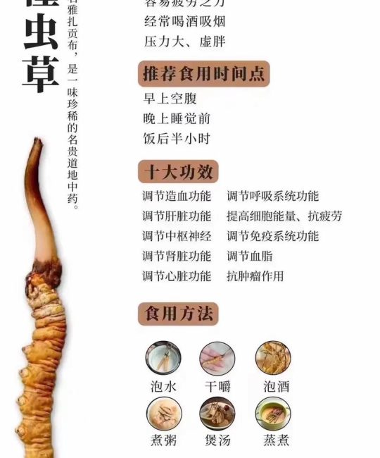 虫草起什么作用？一文读懂冬虫夏草的食用、药用与安全边界