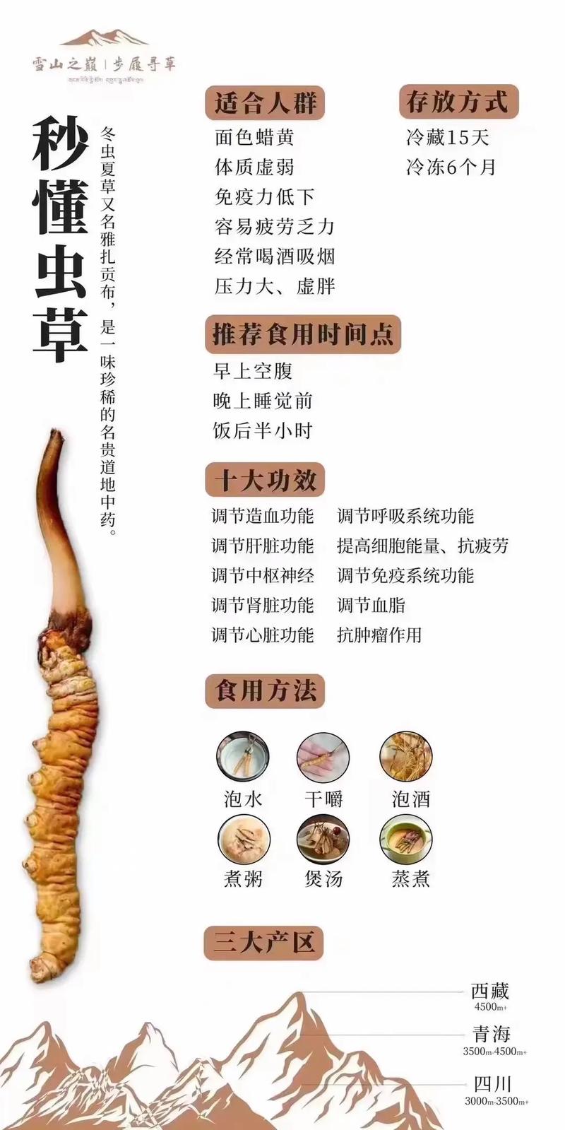 虫草起什么作用?一文读懂冬虫夏草的食用、药用与安全边界 虫草起什么作用?一文读懂冬虫夏草的食用、药用与安全边界