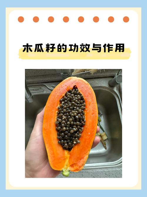 吃了木瓜籽会怎么样?园艺爱好者必知的木瓜籽真相 如果误食了木瓜籽,该怎么办?